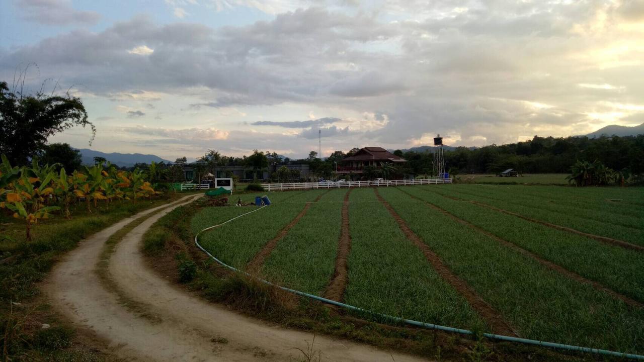 Aether Pai Villa Buitenkant foto