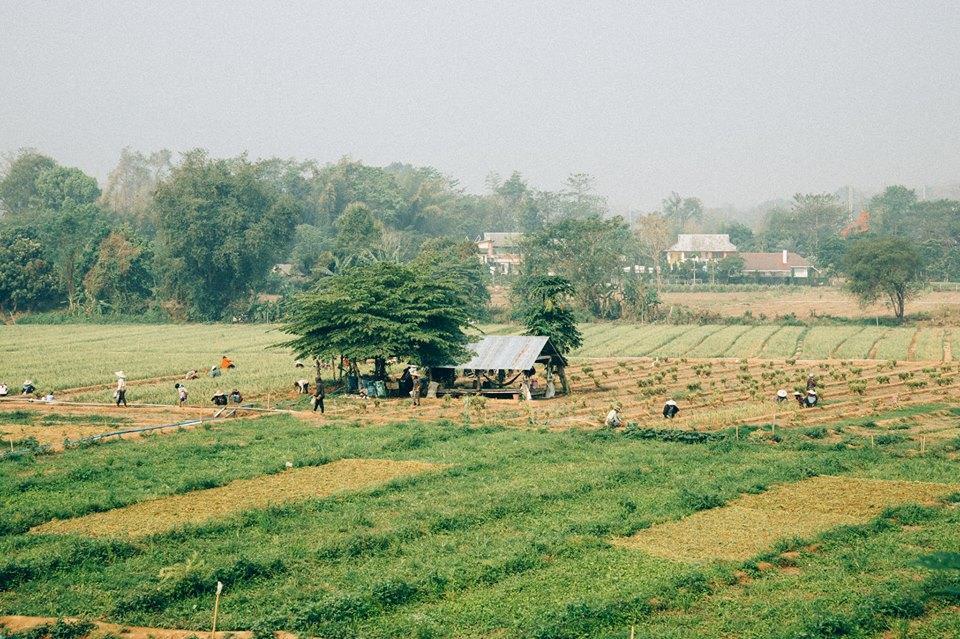Aether Pai Villa Buitenkant foto